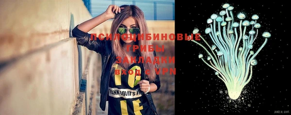 эйфоретик Ладушкин