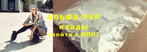 эйфоретик Ладушкин