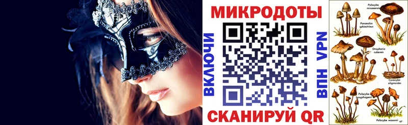 Псилоцибиновые грибы Psilocybe  Купить где  Абдулино 